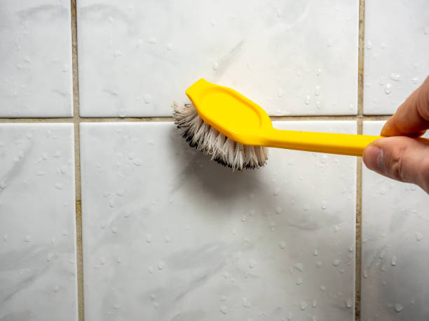 Best Mold Removal Company Near Me  in Kaibito, AZ