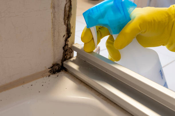 Best Crawl Space Mold Removal  in Kaibito, AZ